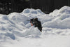 How To Take Care Of Your Paintballs In Winter